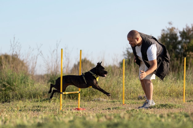 From Rambunctious Pup to Obedient Companion: A Dog Training Journey